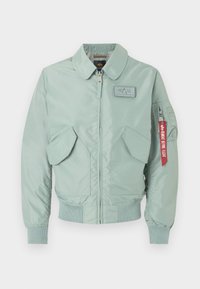 Nevybráno, frost green