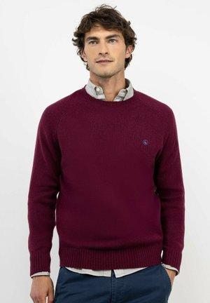 Hombre con pelo rizado y oscuro, lleva un suéter borgoña de cuello redondo sobre una camisa gris claro abotonada con pantalones azules.