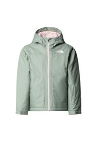 Δεν επιλέχθηκε, slate moss