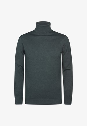 Maglione a collo alto ribbed di un verde scuro, realizzato in un morbido materiale lavorato a maglia. Presenta maniche lunghe e una silhouette aderente con una texture liscia.