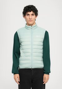 Giovane con i capelli ricci che indossa un gilet trapuntato blu chiaro sopra una camicia a maniche lunghe verde scuro, in piedi davanti a uno sfondo bianco semplice.