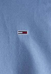 Tommy Jeans FLAG HOODIE - Hanorac - westside blue