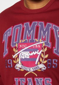 Tommy Jeans Plus Bluza
