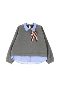 Felpa grigia a maniche lunghe indossata sopra una camicia azzurro chiaro con colletto, caratterizzata da una spilla decorativa con nastri rossi e beige e un gemma centrale.