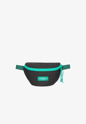 Zwarte stoffen heuptas met turquoise rits en logo. Heeft een ronde vorm, gestreepte verstelbare schouderriem en een gladde textuur.