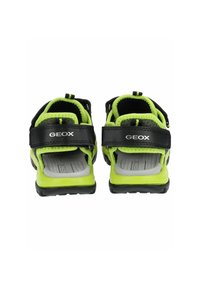 Czarne sandały w neonowozielonym kolorze z regulowanymi paskami, teksturowaną podeszwą i wentylowanym designem; posiadają logo "GEOX" na paskach.