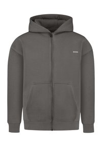 CEDRIK BASIC ZIPPER - Sweatjacke - grau