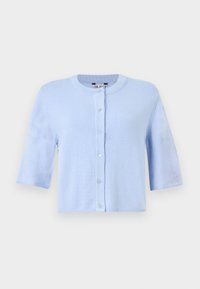 Neizbrano, brunnera blue