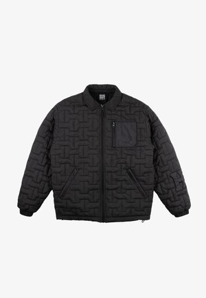 Homeboy COBBLESTONE COACH - Könnyű dzseki - white