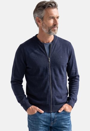 Uomo con capelli e barba grigi che indossa un maglione blu navy con zip e jeans blu, con le mani in tasca, rivolto verso destra su uno sfondo uniforme.