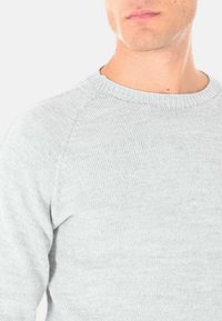 Maglione grigio chiaro con scollo rotondo, realizzato in tessuto lavorato a maglia. Presenta maniche raglan e un design minimalista.