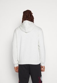 Jordan Sweat à capuche - light grey