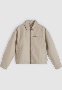Unselected, true chino