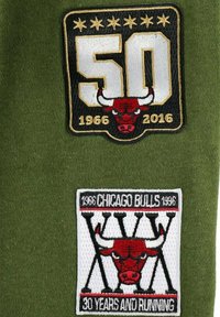 Mitchell & Ness FLIGHT CHICAGO BULLS - Kapuzenpullover - olive