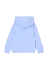 Sudadera azul claro con capucha, mangas largas y puños y dobladillo acanalados. Textura suave, diseño simple, sin patrones ni adornos.