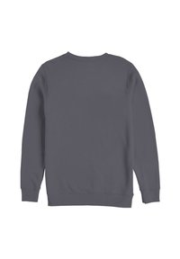 Grijze sweatshirt met lange mouwen, ronde halslijn en geribde manchetten en onderkant. Glad textuur, geen patronen of logo's zichtbaar.