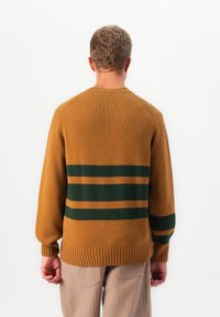 Man wearing a brown sweater with dark green horizontal stripes on the back and sleeves, standing against a white background.