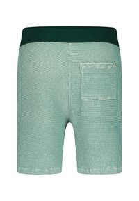 Green striped shorts with a wide green waistband, featuring a back pocket and a textured fabric. The pattern consists of alternating light and dark shades.