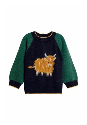 REGULAR FIT - RAGLAN CHARACTER - Maglione - navy blue highland cow