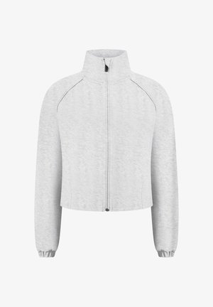 Lichtgrijze cropped jas met volledige voorrits, hoge kraag, lange mouwen, raglan schoudernaden en elastische manchetten.