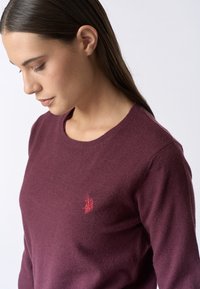 Maglione bordeaux con scollo rotondo, realizzato in tessuto morbido. Presenta un piccolo logo ricamato rosso sul lato sinistro del petto.