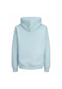 Sudadera con capucha azul claro con cordón ajustable, mangas largas y puños acanalados. La tela parece suave con una textura lisa y sin patrones visibles.