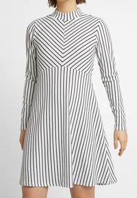 Randig långärmad klänning i svart och vitt med hög halsringning och a-linjeform, med ett chevronmönster på bodice.