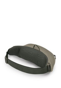 Osprey DAYLITE WAIST PACK - Gürteltasche - umber orange verdigris green