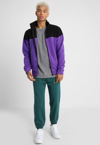 Jachetă din polar cu fermoar, violetă și neagră, purtată peste un tricou gri, asortată cu pantaloni joggers verzi și adidași albi. Îmbrăcăminte sportivă simplă și lejeră.