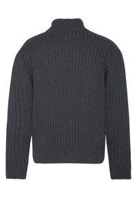Schott PLECORAGE - Strickpullover - anthracite