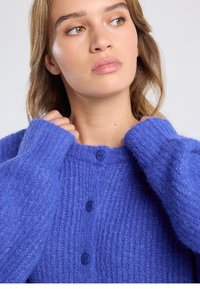 Blue knit cardigan with ribbed texture, round neckline, and three buttons. Features wide sleeves and a soft, fuzzy finish.