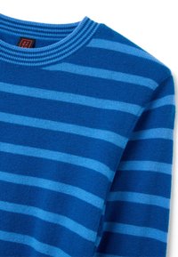 Pullover a righe blu con un colletto a girocollo a coste, realizzato in un tessuto morbido con righe orizzontali alternate di blu scuro e blu chiaro.
