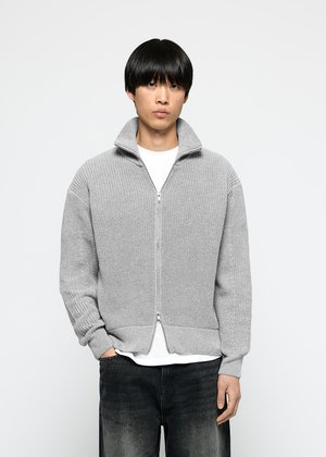 Joven con cabello negro lacio, vistiendo un suéter de punto gris claro con cremallera sobre una camisa blanca y jeans de lavado oscuro, de pie contra un fondo blanco.