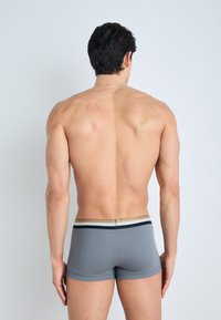 Gray boxer briefs featuring a fitted design, smooth texture, and a waistband with black, white, and gold stripes.