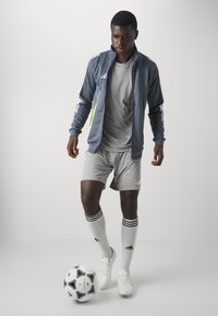 Grå atletisk jakke med grønne accenter, grå t-shirt, grå shorts, hvide sokker med sorte striber, og en fodbold ved fødderne.