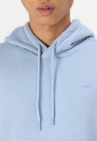 Hellblaues Hoodie aus weichem Baumwollmix, mit einer Kapuze mit Kordelzug und gesticktem Logo auf der Brust. Glatte Textur, lässiges Design.