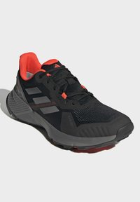 adidas Performance TERREX SOULSTRIDE .RDY czarny