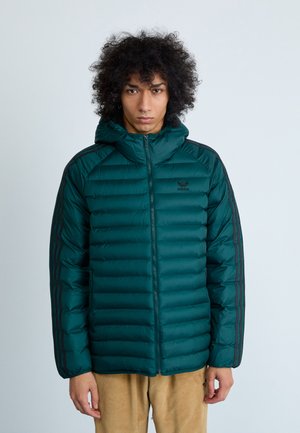 HOODED - Zimná bunda - aurora ivy