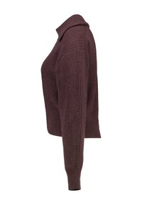 America Today Jumper - dark brown