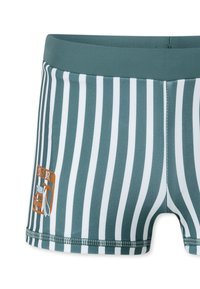 Grün-weiß gestreifte Badeshorts mit glatter Textur, versehen mit einem rechteckigen orangen "CO SURF" Logo auf der linken Vorderseite.