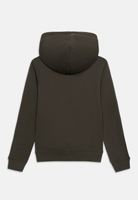 Σκούρο πράσινο φούτερ με μακριά μανίκια, μεγάλο κουκούλα και ριμπ μανσέτες και τελείωμα, εμφανιζόμενο από πίσω σε λευκό φόντο.