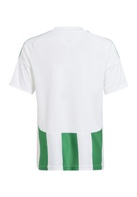 Maglia sportiva bianca con strisce verdi verticali sul fondo e lungo le spalle. Realizzata in tessuto traspirante, presenta un collo a giro.