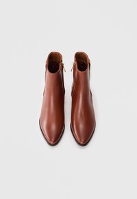 Brune lær ankelsko med en slank, spiss tå og doble gullglidelåser ved anklene. Glatt tekstur og minimalistisk design.