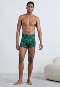 Πράσινα μπόξερ με μοτίβο και σκούρο λάστιχο στη μέση με το όνομα της μάρκας "BJÖRN BORG". Λείο, ελαστικό ύφασμα με εφαρμοστή γραμμή.