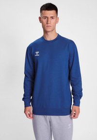 Blå långärmad sweatshirt i mjukt tyg, med rundad halsringning, ribbade ärmslut och en liten vit logotyp på vänster bröst.