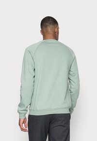 Lysegrøn sweatshirt med rund hals, lange raglanærmer og ribbede manchetter. Glat stoftekstur, ingen synlige mønstre eller detaljer.