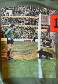 Groene stof met een afgedrukte illustratie van een voetbalscène, met een doelman, toeschouwers en een zwarte hond bij de doelpaal.