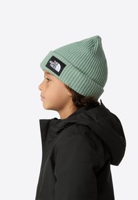 The North Face SALTY UNISEX - Σκούφος - slate moss
