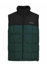 Gilet imbottito con colletto alto. Presenta una parte superiore nera e una parte inferiore verde scuro con motivo trapuntato. Chiusura frontale con zip.