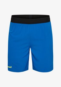 Seleccionado, skydiver